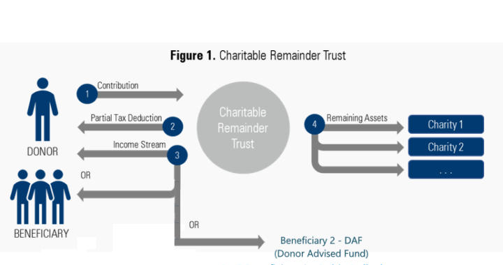 Reduce Wealth Transfer Taxes with a Charitable Remainder Trust (CRT)