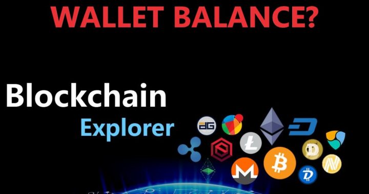 Do you know how to check Your Crypto Wallet Balance?