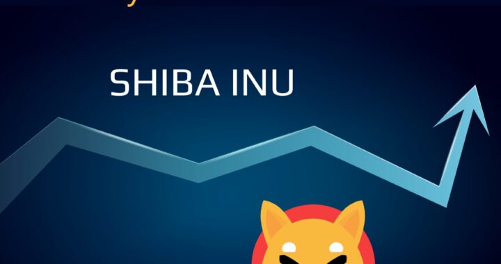 Shiba Inu (SHIB) Sell Limit Order Price Predictions – Wealth Transfer