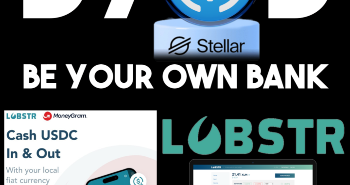 Be your own Bank now with Stellar USDC – Prophetic Money