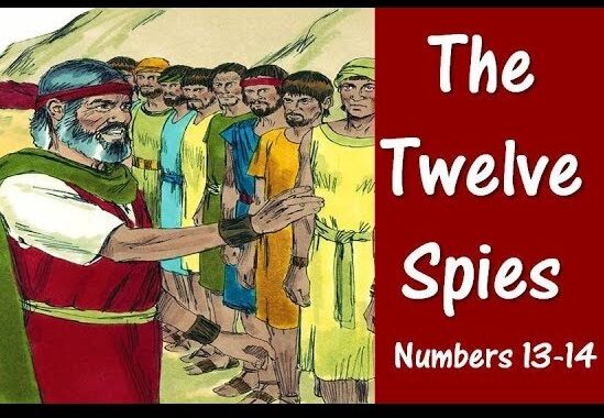 Don’t Sabotage the coming Crypto Wealth Transfer with negativity