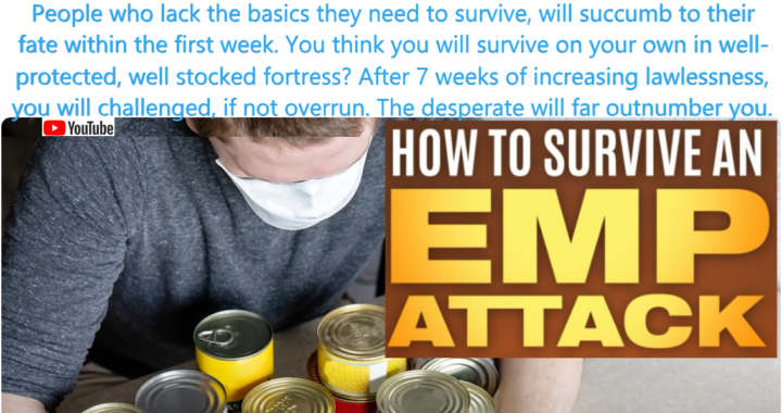 Shocking Fact: 90% of the Population Could Die in the First Year of an EMP Attack