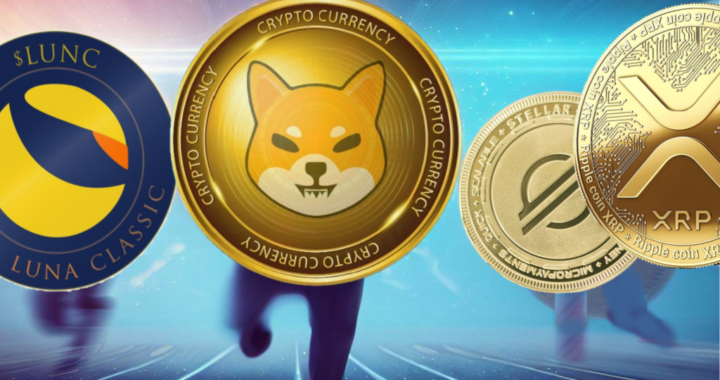 Which Wealth Transfer Crypto will go up first? — Prophetic Money