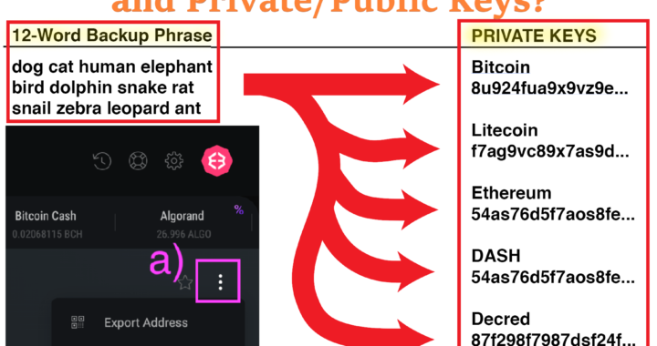 12 vs 24 Word Seed Phrases: Private vs Public Keys.