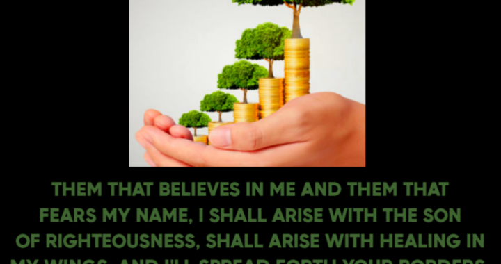 Heavenly Declaration: Magnify Your Wealth with Every Touch!