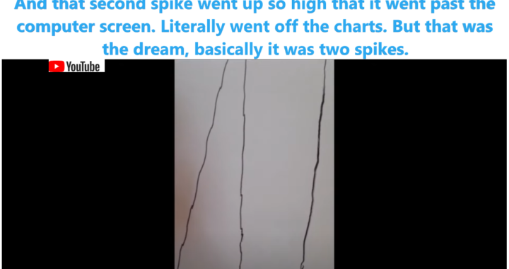 Shiba Inu Dream: Two Massive Spikes, One Big Crash