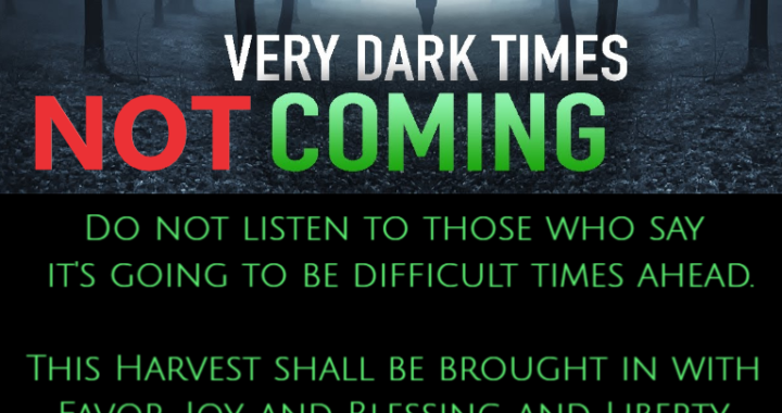 Triumph Over Trials: A Harvest Of Favor And Blessing!