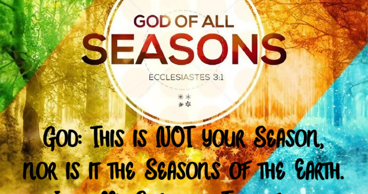 Divine Seasons Blend: The Earth Will See Them Backwards