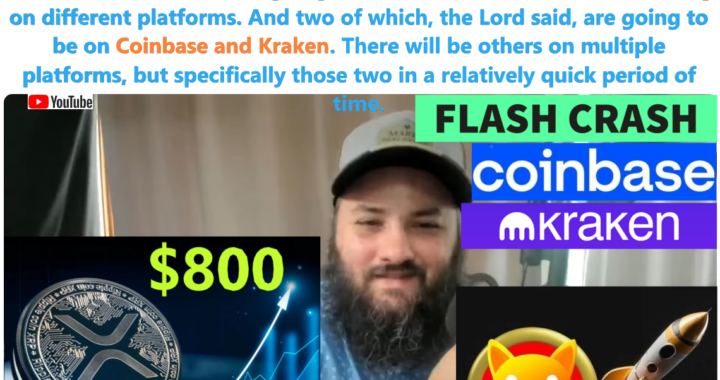 XRP Spike to $800, and Shiba Inu to $0.01 Growth!