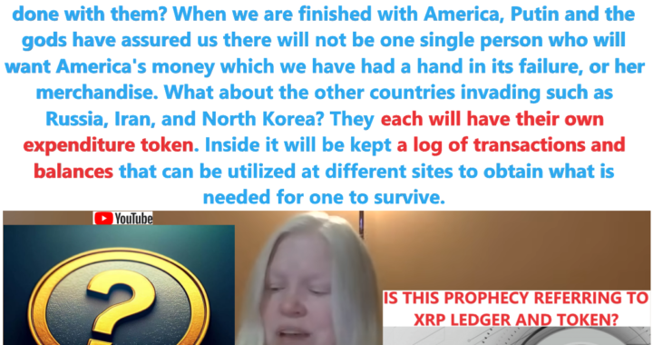 New World Currency: Expenditure Token