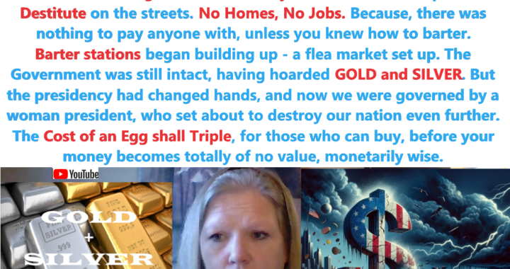 Panic Strikes: The Fallout of the U.S. Economic Collapse