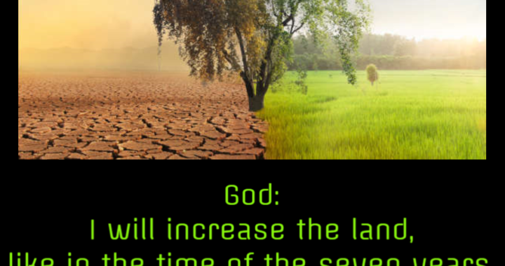 Prophetic Warning: False Shortages and Crises – Abundance will come