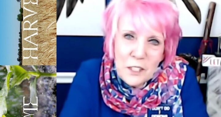 Harvest Time: Blessings for the Faithful, Judgment for the Wicked!