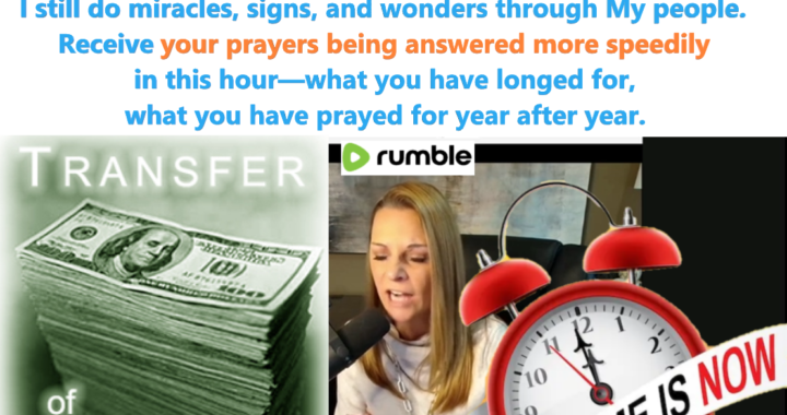 Now Is the Time: Embrace Wealth, Miracles, and Speedy Answers