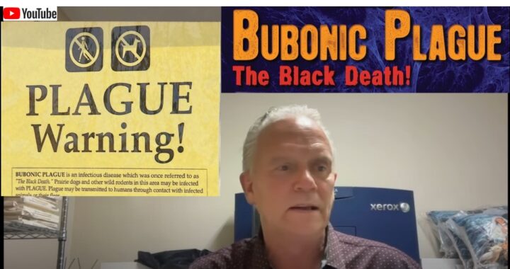 Prophecy Revealed: A Deadly Plague to Strike Midsummer