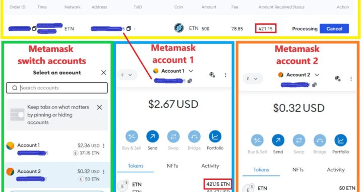 Metamask ETN Wallet: One of the Best Crypto Wallets for Electroneum