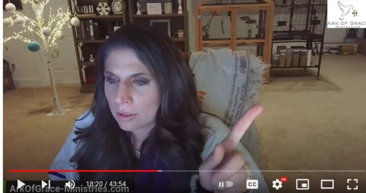 The Hidden Agenda Behind Grids and Market Shutdowns!