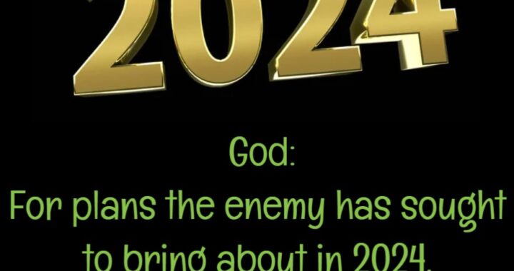 Plans of the Enemy Will Burn in 2024