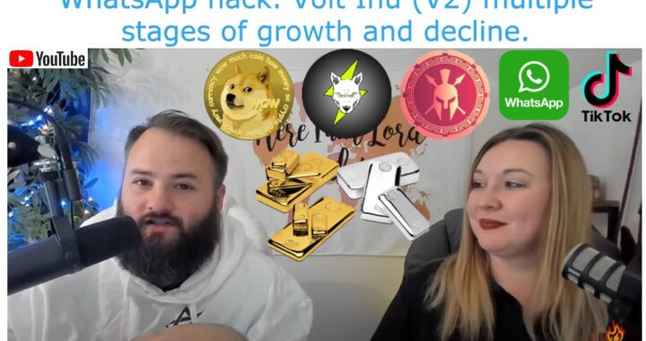 WhatsApp Hack, Gold Standard and TikTok Ban in America