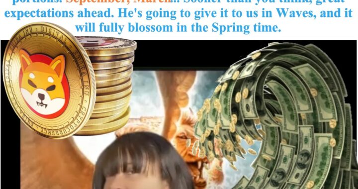 Wealth Transfer: Shiba Inu in September and March