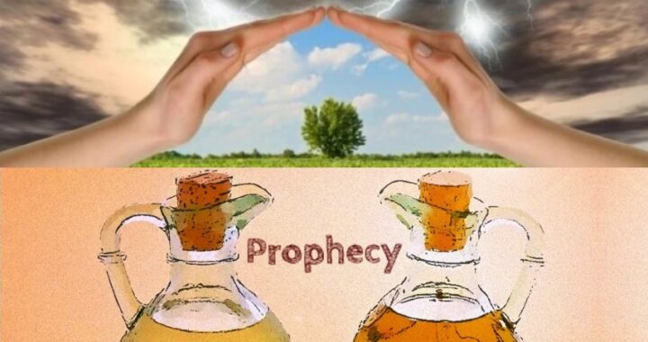 God Declares: I Will Protect the Oil and Wine