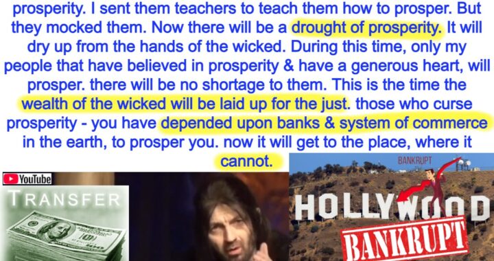 Mocked Mentors, Missed Wealth: A Reckoning