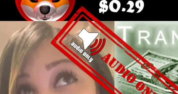 $0.29 Shiba Inu Wealth Transfer Sparks Hope