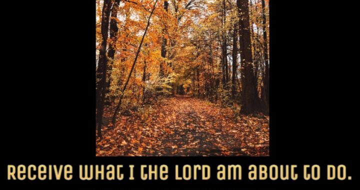 This Fall Will Be Great: Prophetic Promise Released