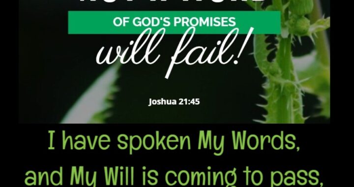 New Inauguration and Celebration in 2022