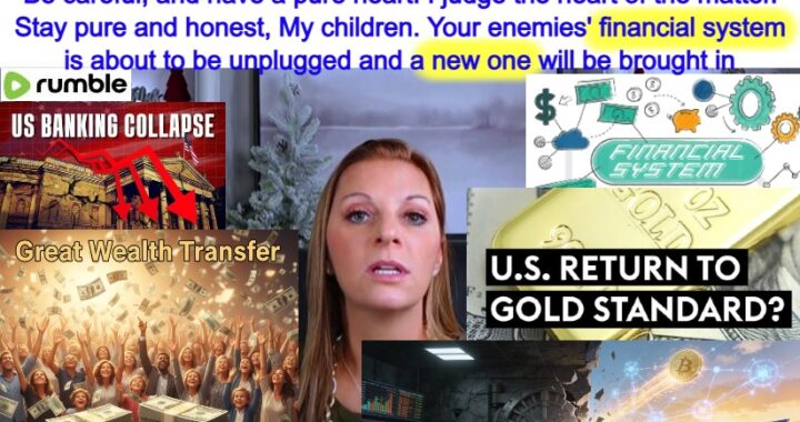 Epic Wealth Transfer – Financial System Destroyed
