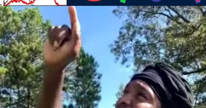 Two Spikes Coming in Shiba Inu: Know When to Sell