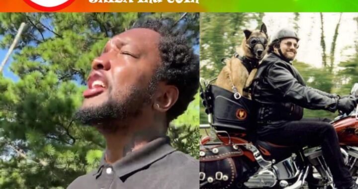 Wealth Transfer Confirmation from God: Shiba Inu to $0.50