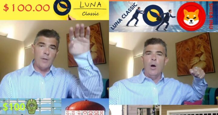 SHIB and LUNC Price Vision That Will Blow Your Mind