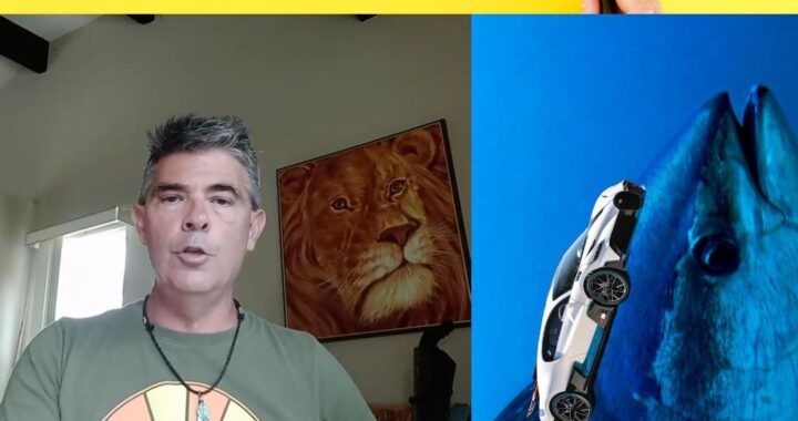 LUNC Will Take You Places – Bridge to Wealth